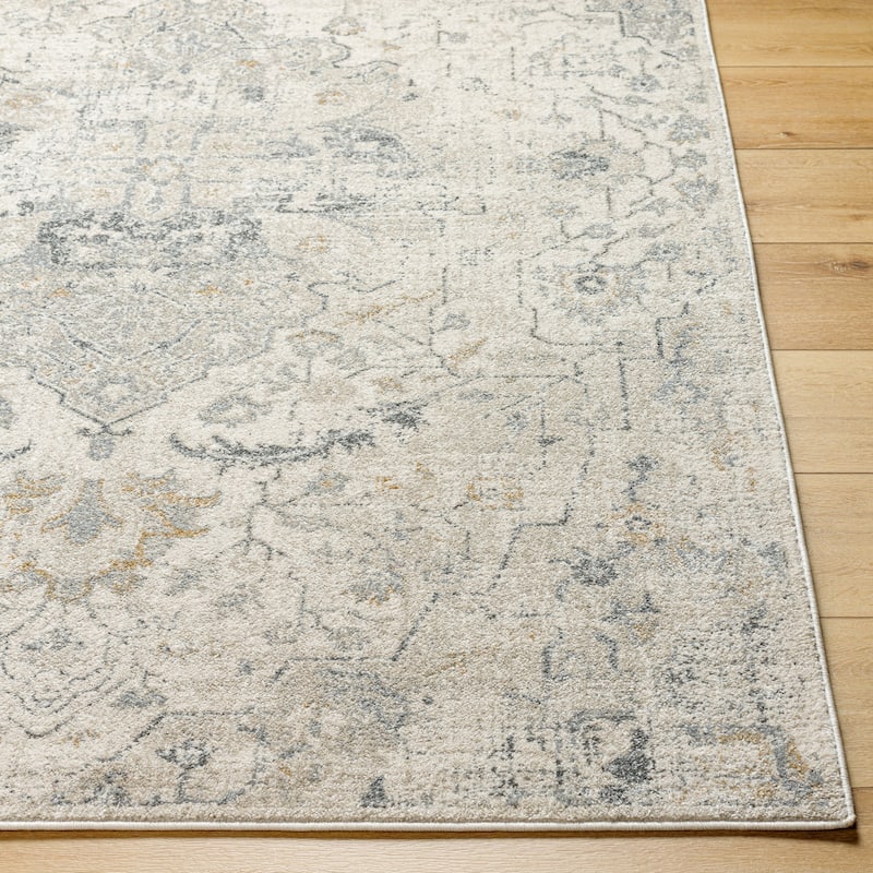 Blum Traditional Area Rug