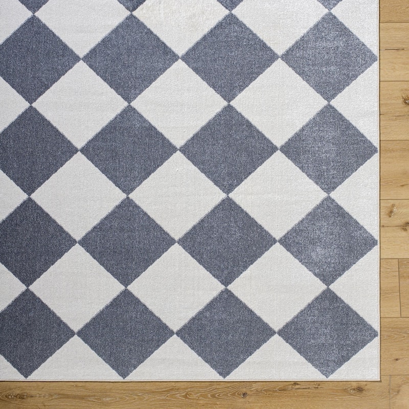 Livabliss Lillian Modern & Contemporary Checkered Indoor/Outdoor Area Rug