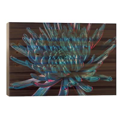 Blue Spider Mum Print On Wood by Elena Kulikova - Multi-Color