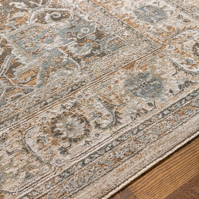 Artistic Weavers Remyr Vintage Distressed Area Rug