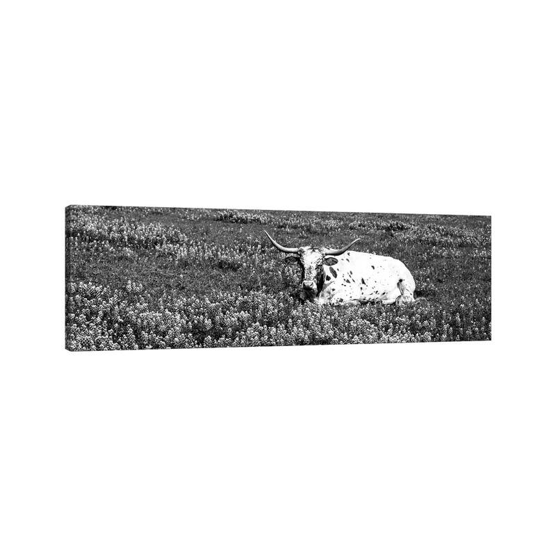 iCanvas "Texas Longhorn Cow Sitting On A Field, Hill County, Texas, USA" by Panoramic Images Canvas Print