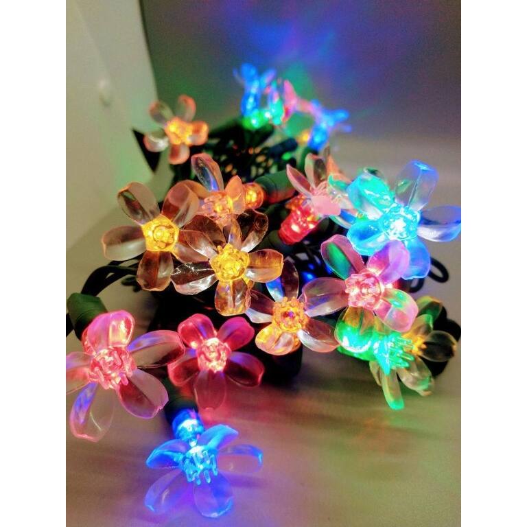 Multi Flower LED Set of 25 Lights Light String