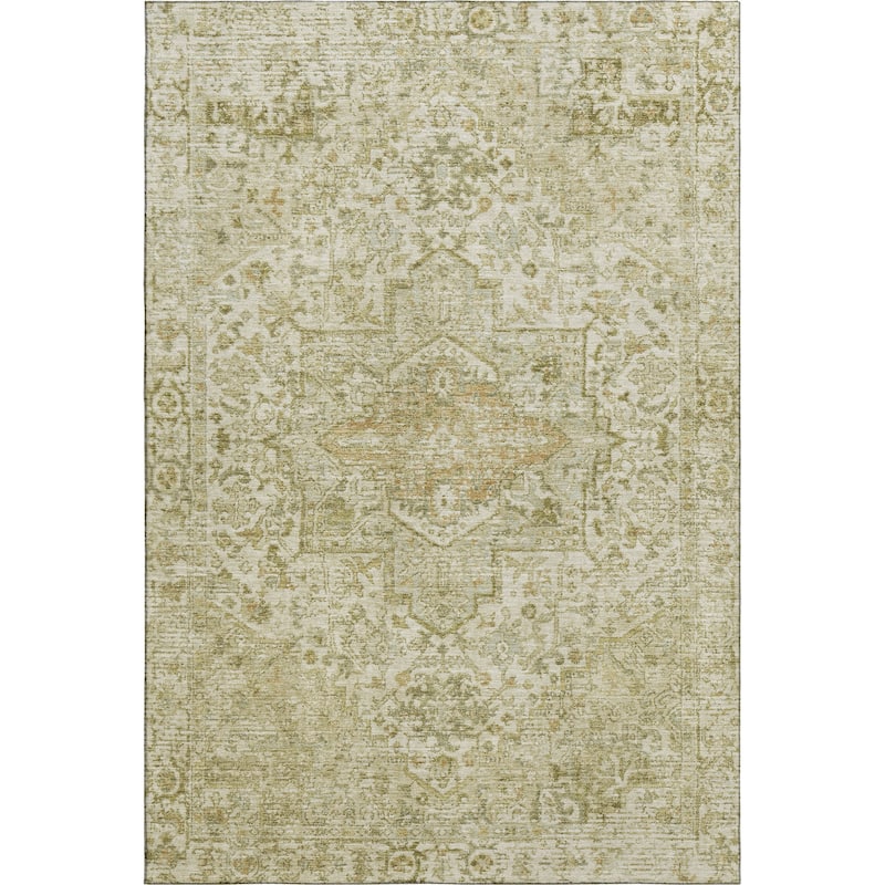 Premium Washable Super Soft Traditional Mayfield Rug