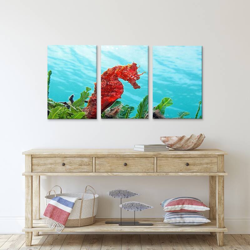 Ready2HangArt 'Seahorse' 3-Piece Wrapped Canvas Wall Art Set