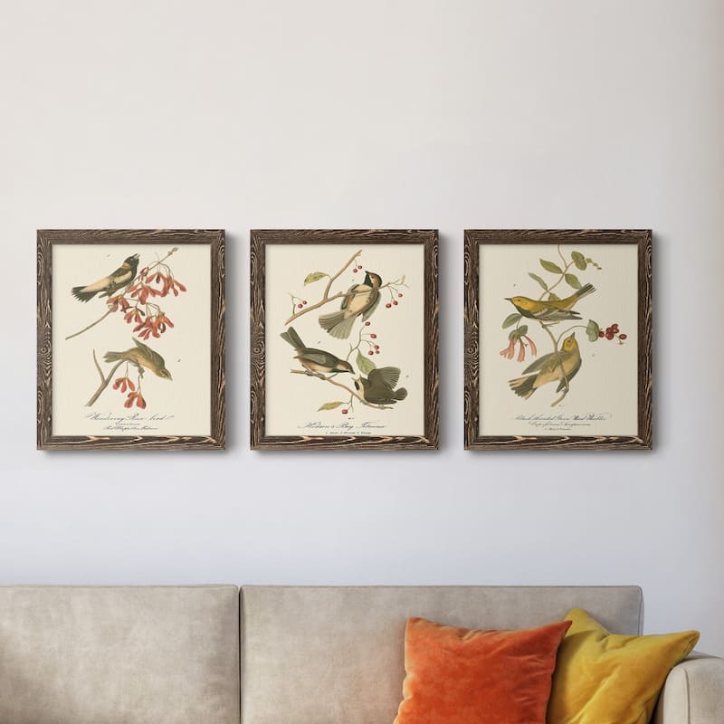 Wandering Rice Bird-Premium Framed Canvas - Ready to Hang - Multi-Color