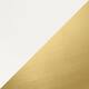 Option White Tub - Brushed Gold HDW