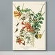 preview thumbnail 3 of 8, Pl 47 Ruby-throated Hummingbird -Premium Gallery Wrapped Canvas