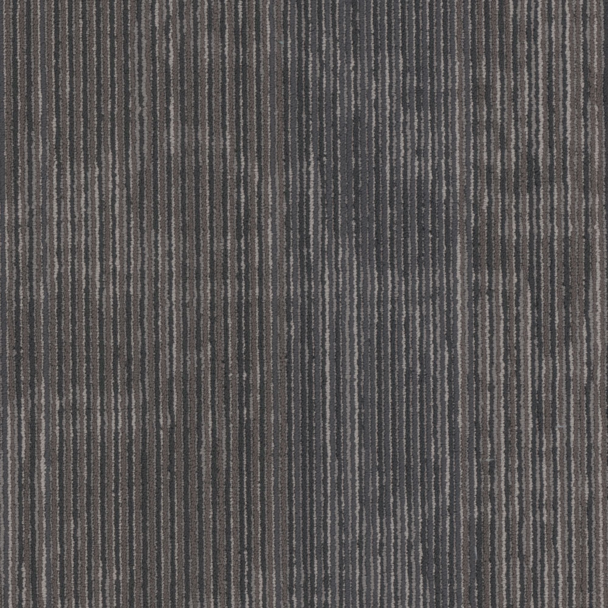 Shaw Philadelphia Commercial Encrypt 18" x 36" Glue Down Carpet Tile -