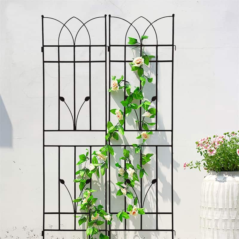 2 Pack Metal Garden Rustproof Trellis for Climbing Plants