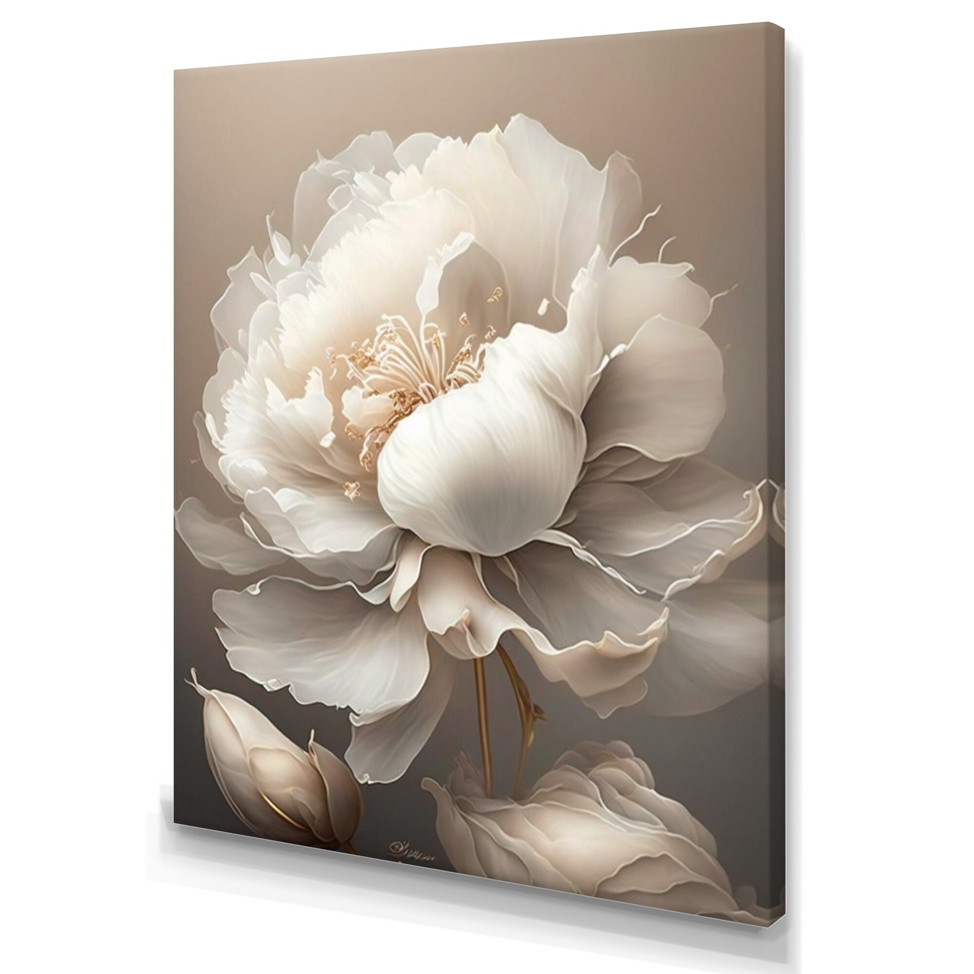 ✳︎peony✳︎ Designart 'Peony Flower VI' Floral Peony Canvas Wall Art