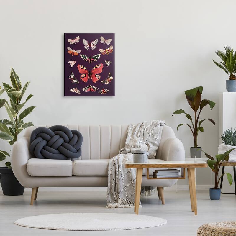 Stupell Vintage Wildlife Moths Canvas Wall Art Design by Diane Neukirch