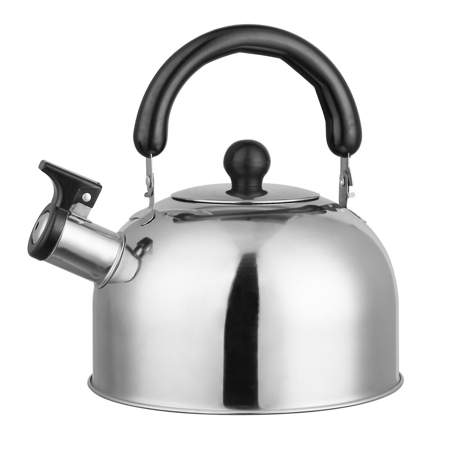 Stainless Steel Stovetop Tea Kettle with Handle, Induction