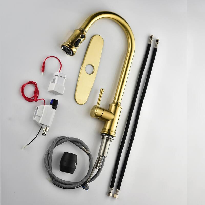 Kitchen Faucet with Pull Out Spraye