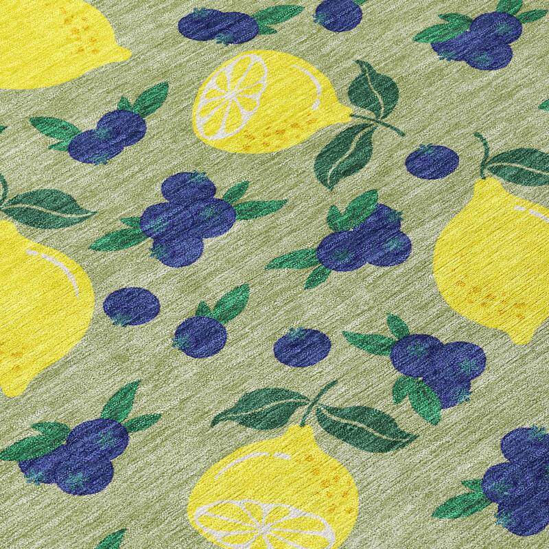 Machine Washable Indoor/ Outdoor Citrus Berry Chantille Rug