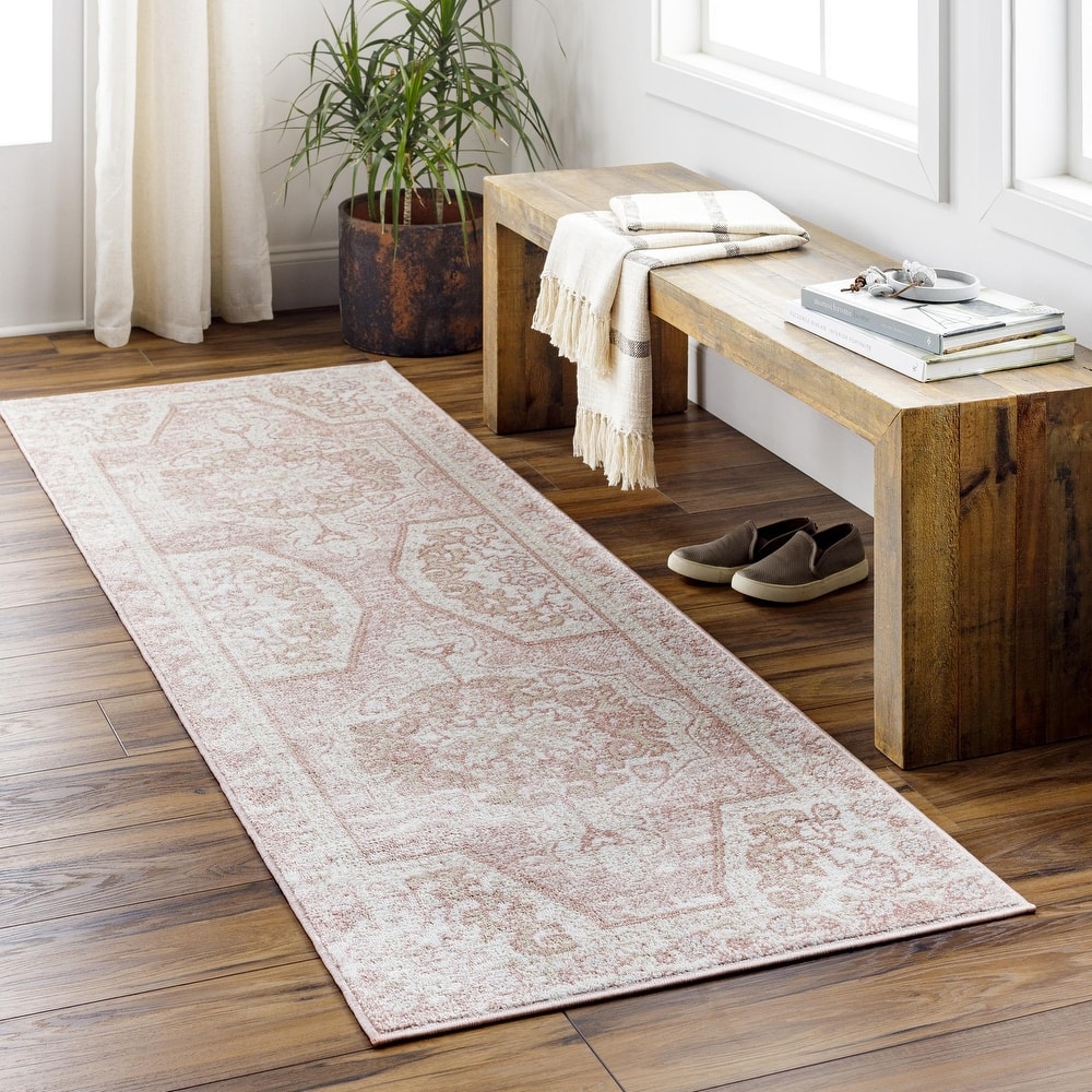 Livabliss St Tropez Updated Traditional Medallion Area Rug.