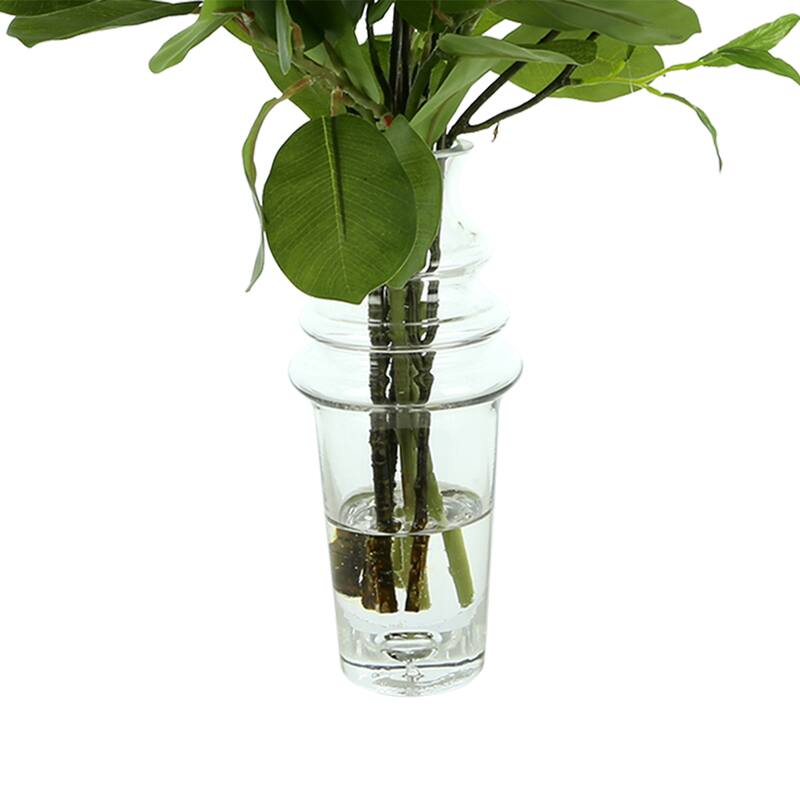 Oriental Fiscus and Willow Branch Arrangement in a Tall Glass Vase - Green