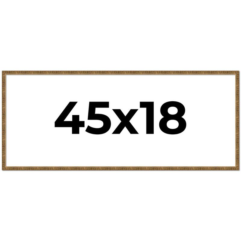 45x18 Frame Gold Picture Frame - Complete Modern Photo Frame Includes