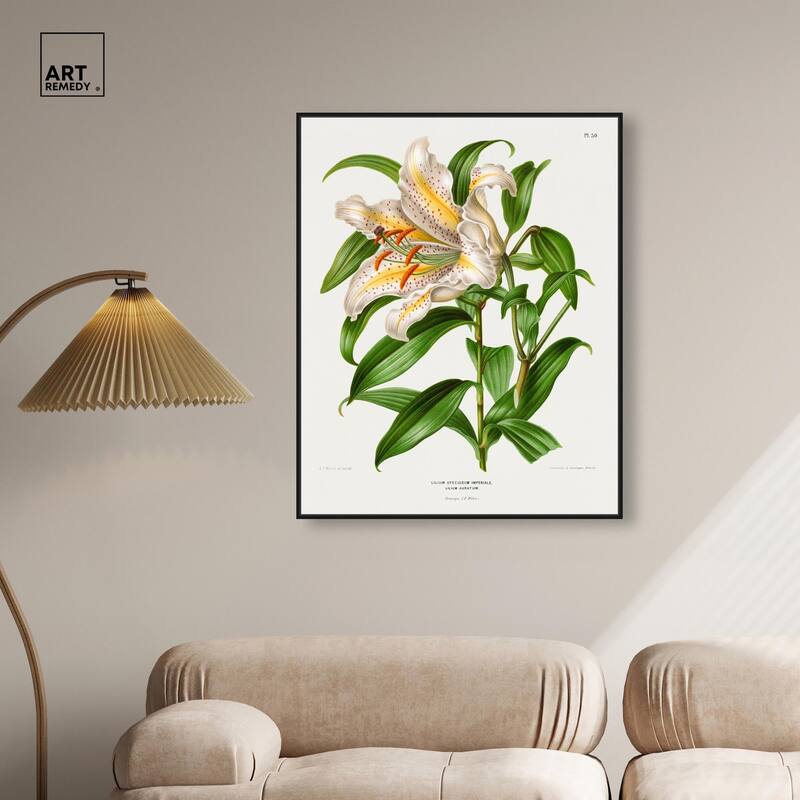 Lilium Speciosum Imperiale Canvas by Art Remedy