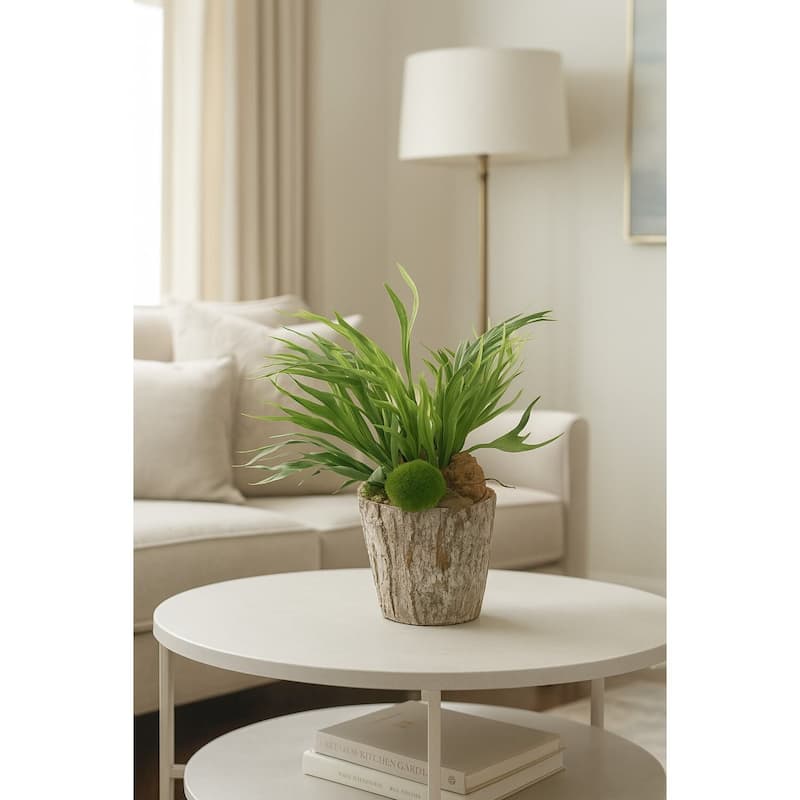 HomeStock Mini Staghorn Fern in Weathered Oak Look Cement Planter - Unique Faux Fern for Natural Vibes - 21