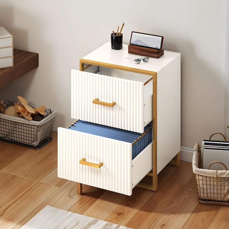 Moasis 2 Drawer File Cabinet with Gold Metal Handle