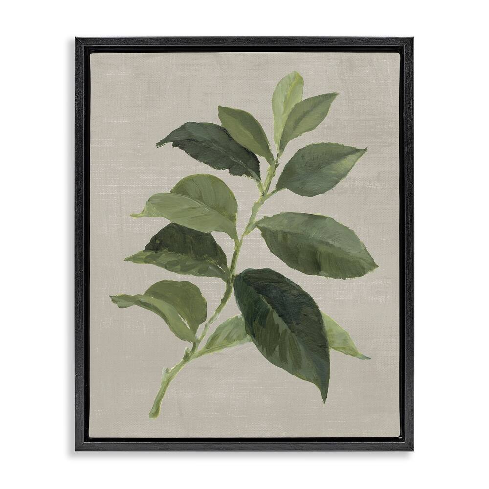 Stupell Arabica Coffee Plant Leaf Framed Floater Canvas Wall Art Design By Lanie Loreth