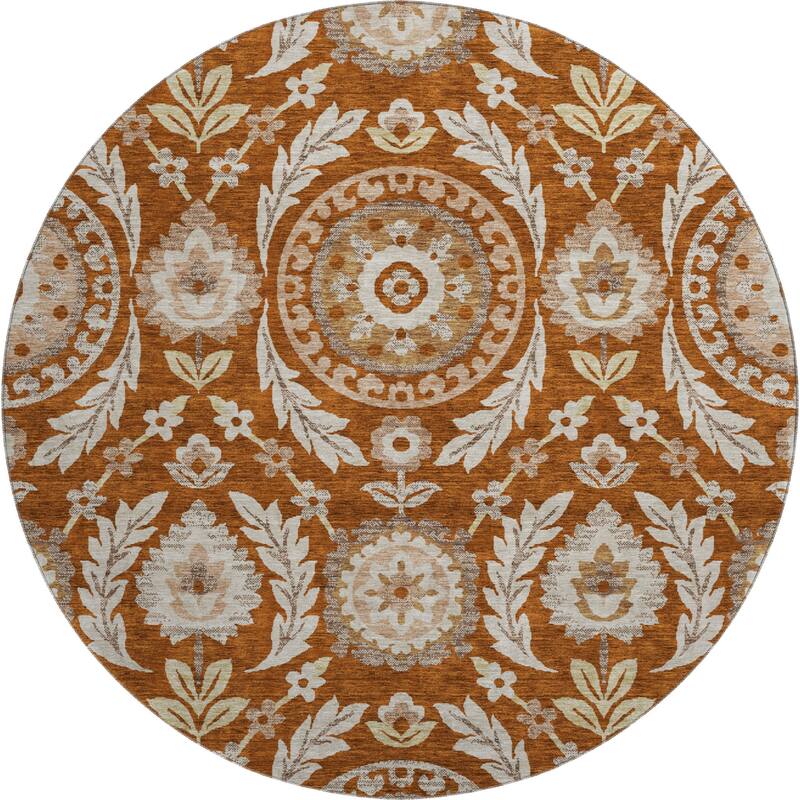 Premium Washable Super Soft Boho Global Mayfield Rug