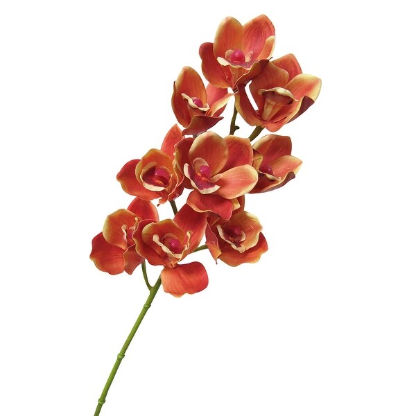 Set of 2 Real Touch Cymbidium Orchid Stem 27.5in. Opens flyout.