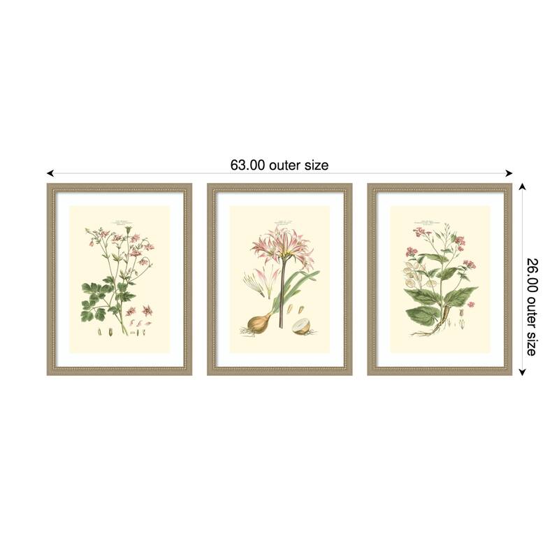 Small Blushing Pink Florals 3 Piece by John Miller Framed Wall Art Prints