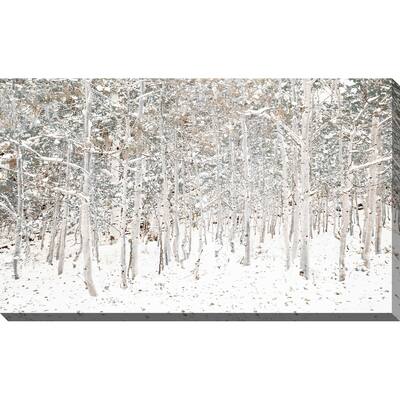 "White Snow Wonderland" Print on Canvas