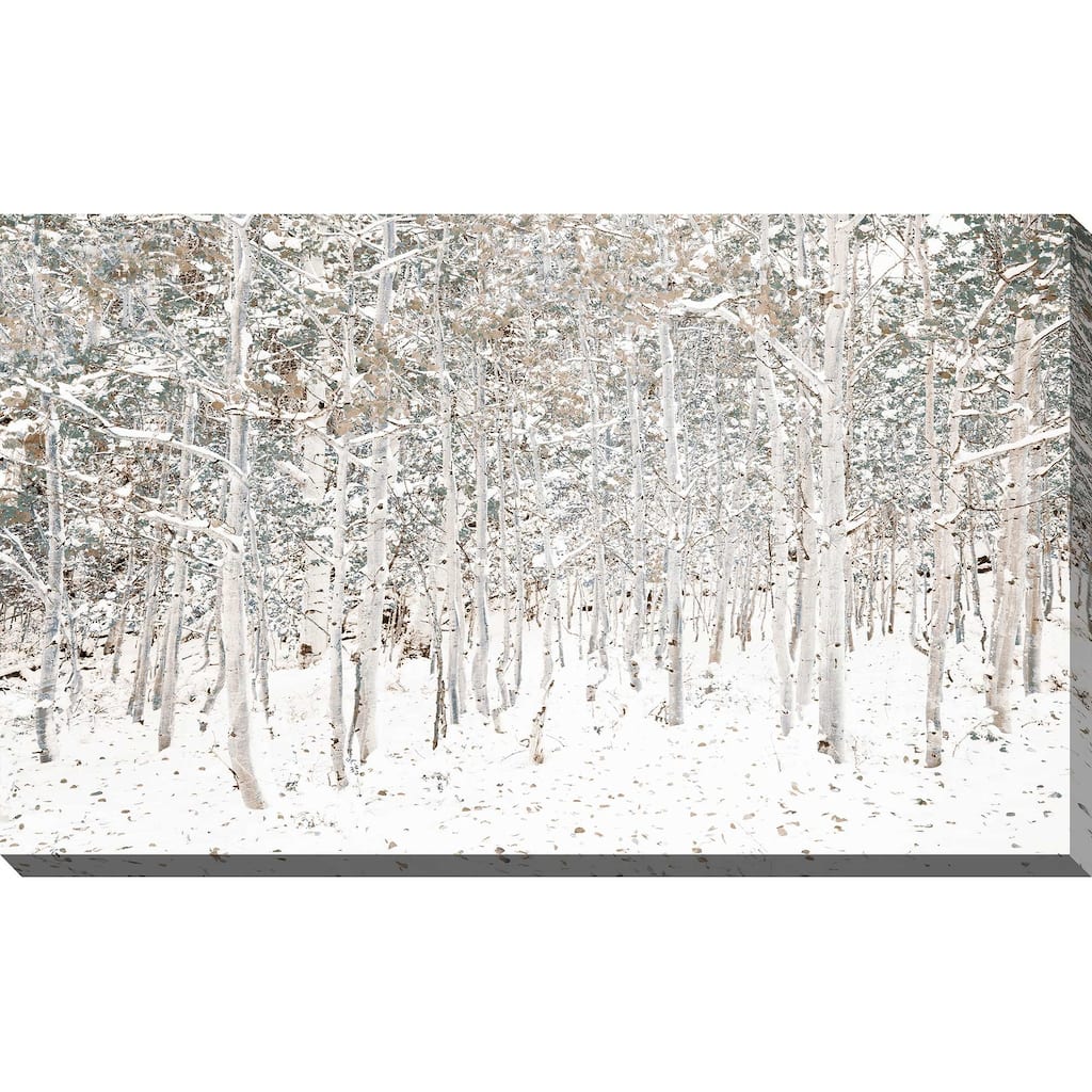 "White Snow Wonderland" Print on Canvas