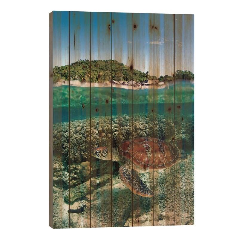 Along Shore Print On Wood by Andrey Narchuk - Multi-Color - 40x26x1.5