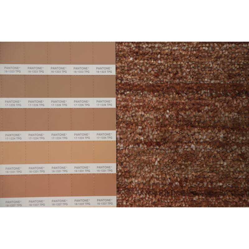 Hand Knotted Oriental Viscose Silk Carpet Tribal Animal Pictorial Brown Gabbeh Area Rug - 11' 11'' X 8' 10''