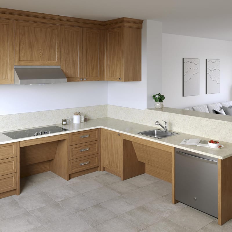 PROFLO PFSR1919553 Bealeton 19" ADA Compliant Drop In Single Basin