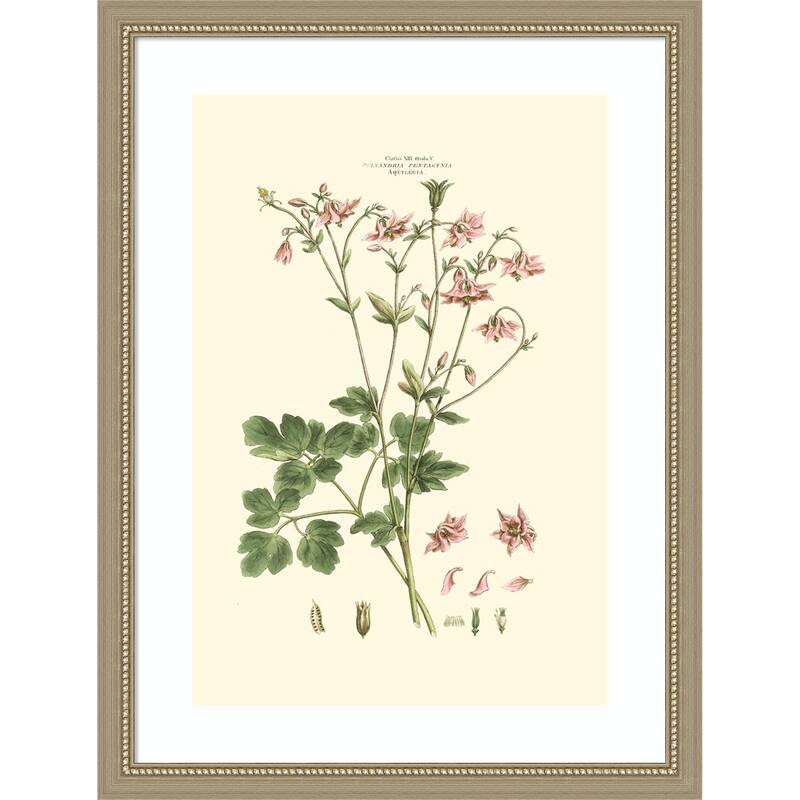 Small Blushing Pink Florals No. 9 by John Miller Wood Framed Wall Art Print