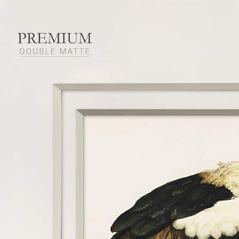 Odd CranePremium Framed Print