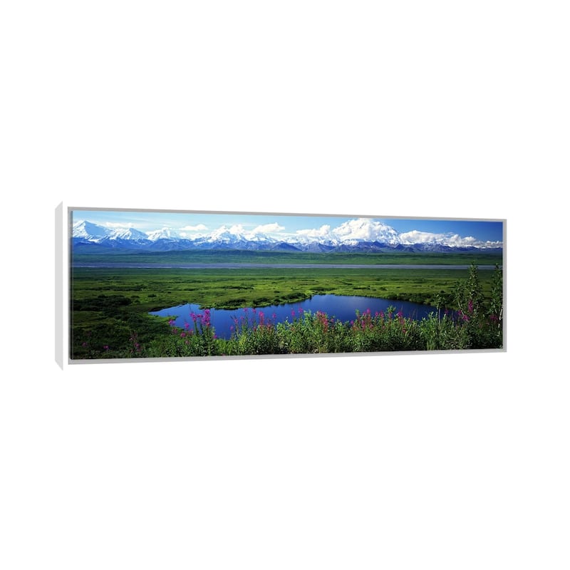 iCanvas "Spring Landscape, Denali National Park, Alaska, USA" by Panoramic Images Framed Canvas Print - 20x60 - White