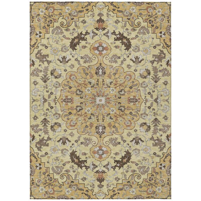Machine Washable Indoor/ Outdoor Traditional Indore Chantille Rug