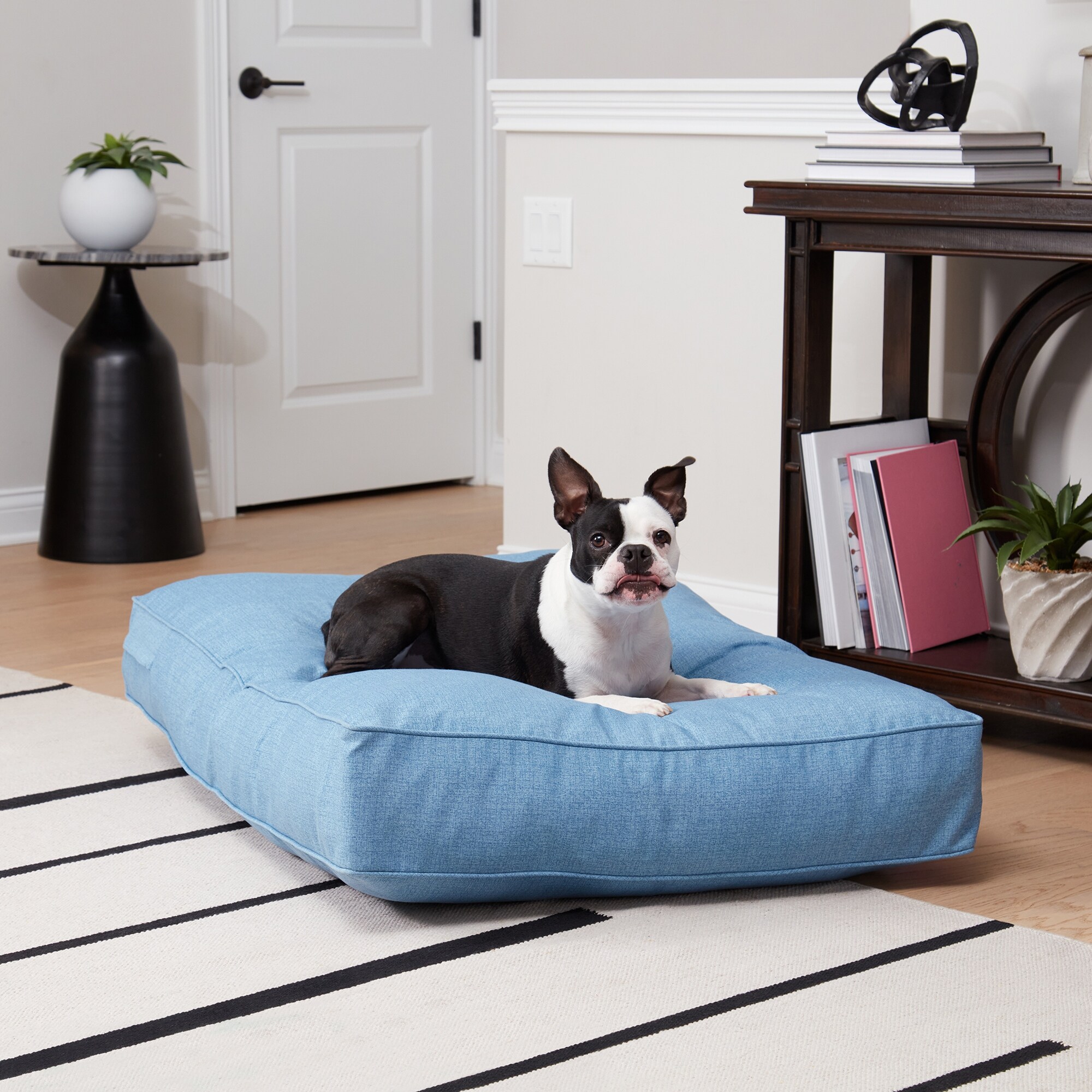 House and hound dog bed shop
