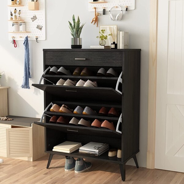 Grondin Modern Contemporary Entryway Shoe Cabinet with Drawers