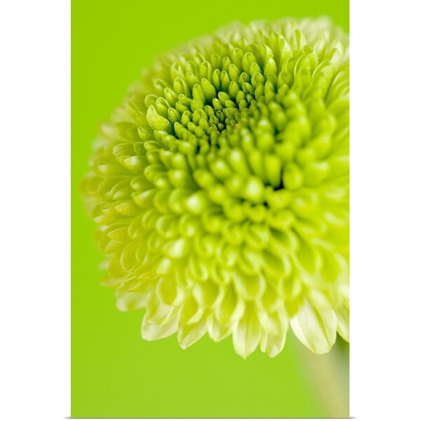"Green flower" Poster Print