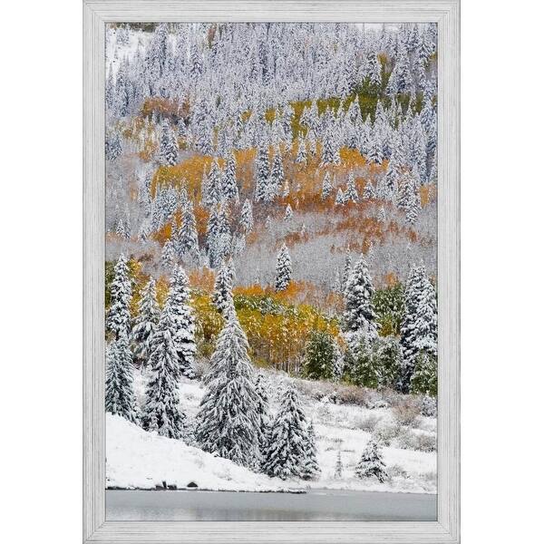 Shop Easy Art Prints Terry Eggers S Snow Covered Aspens And Firs