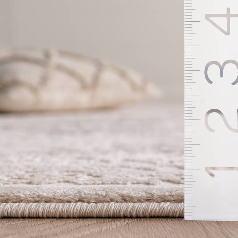 SAFAVIEH Reflection Joschka Traditional Rug