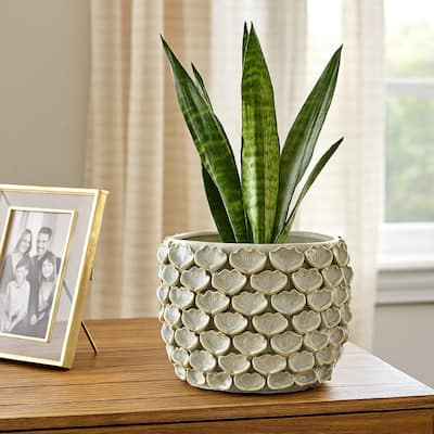 Aster Accent Planter w Raised Petal Pattern Blue Green Ceramic 10 Inch