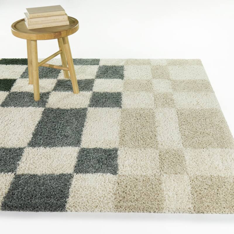 Leslie Checkered Shag Area Rug - 5'3" x 7' - Green/Blue