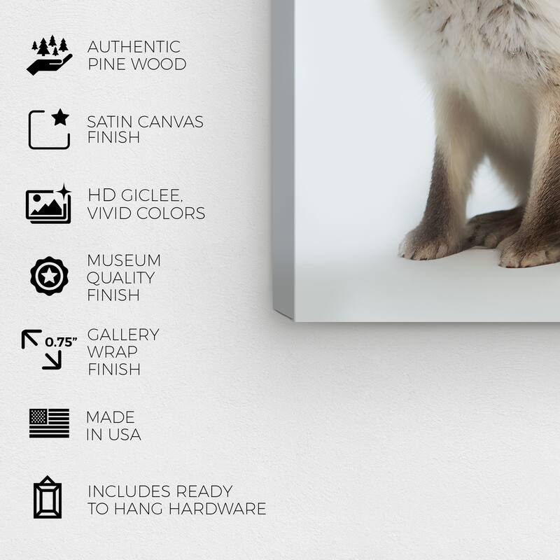 Wynwood Studio Canvas Animals Baby Animal Artic Fox White and Cream White Modern & Contemporary Wall Art Canvas Print