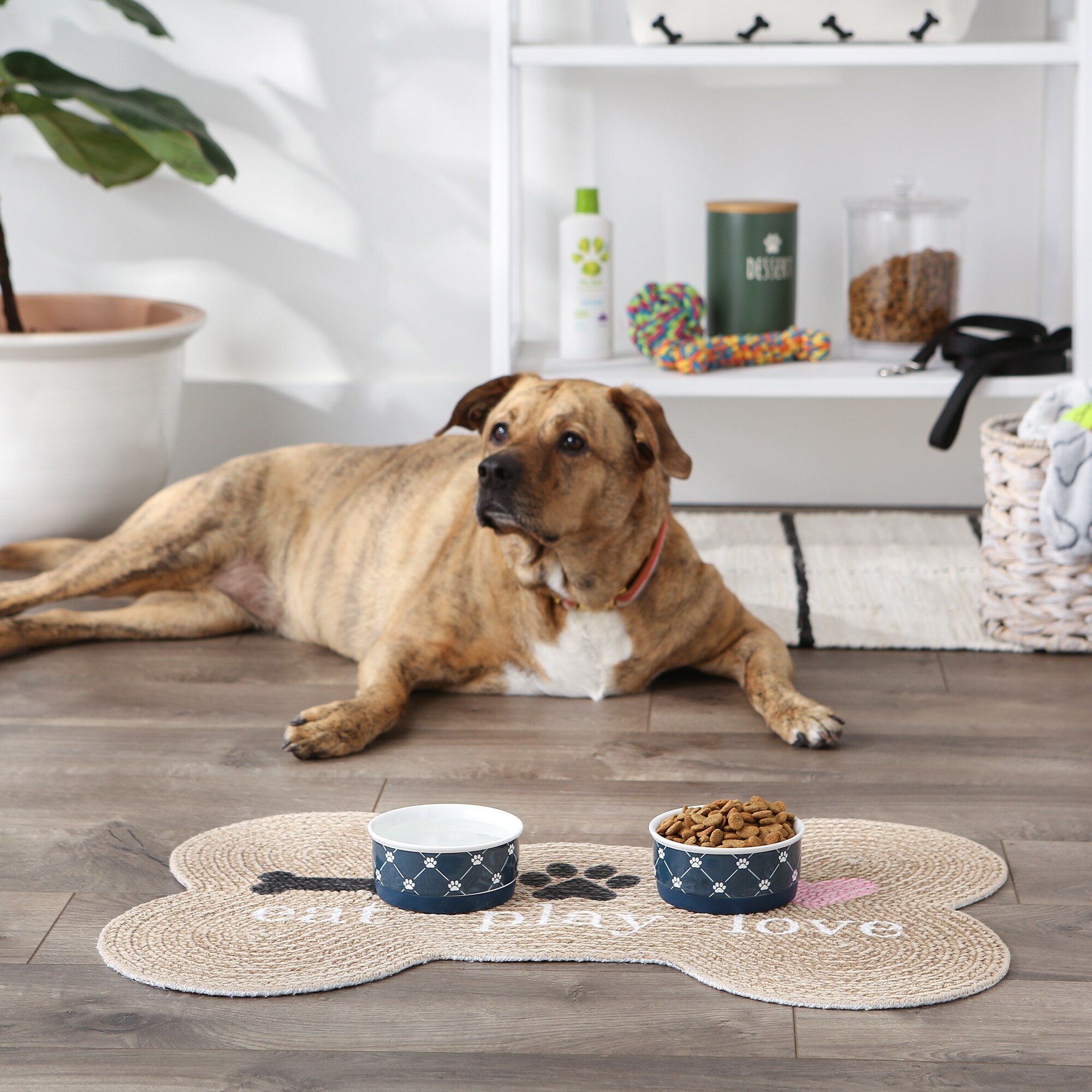 Bone dry sale dog bowls