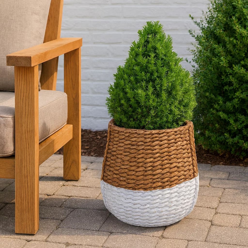 Reno 15 Inch Planter, Rope Woven Design, White and Brown Finished Resin