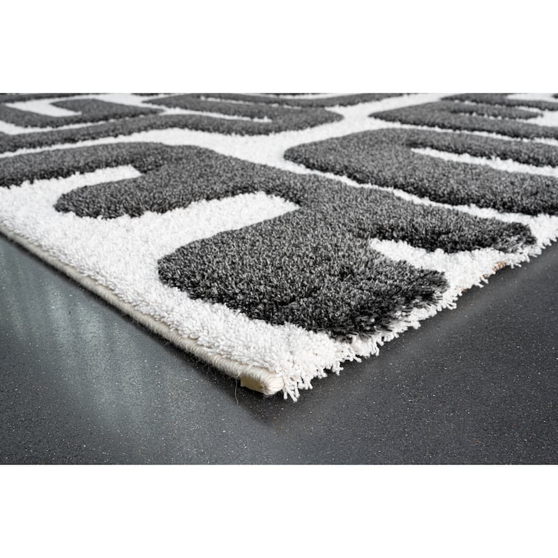 Lillian Black and Ivory Recycled Polyester Area Rug - 6' x 9'