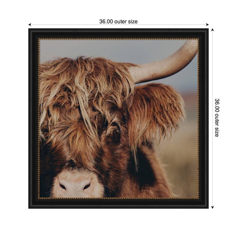 Kate and Laurel Nosy Highland by Laura Evans Framed Wall Art Print