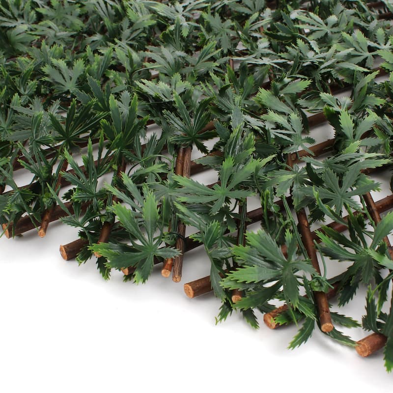 Cannabis Trellis - 20 x 108